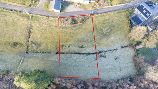 Buisson - LOT 3 - division - 6980
