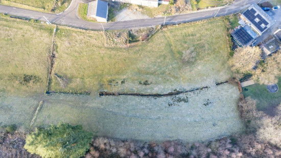 Buisson - LOT 4 - division - 6980