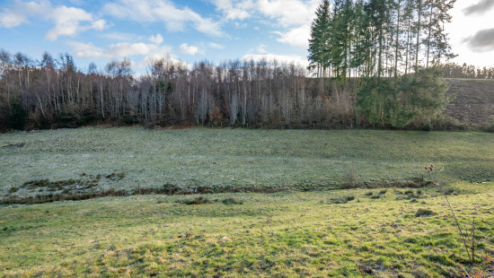 Buisson - LOT 4 - division - 6980