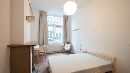 Rue Paradis - 64 - - 4000