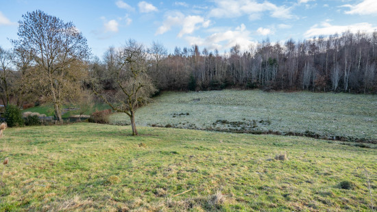 Buisson - LOT 3 - division - 6980