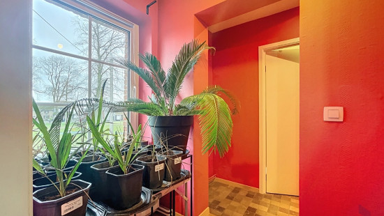 Place Félix Moinil - 275 - - 5300