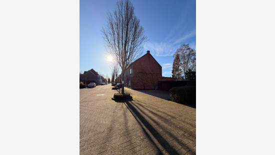 Hanendreef - 98 - - 2930