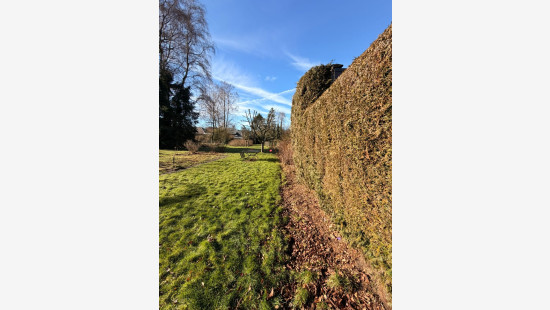 Hanendreef - 98 - - 2930