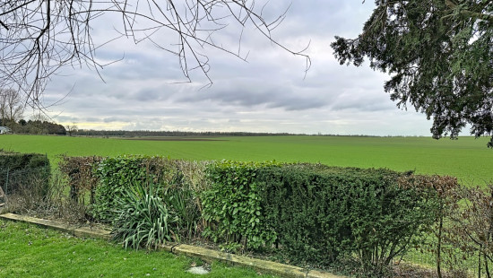 Rue de Fooz - 49 - - 4340