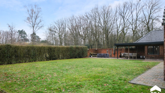 Peerboomstraat - 36 - - 3600