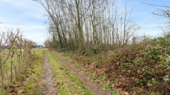 Sint-Amandsesteenweg - 377 - F - Lot 6 - 2880