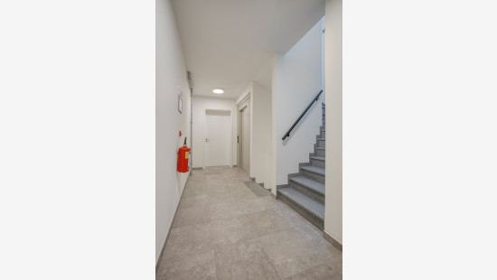 Lierse Steenweg - 9 - 102 - 2288