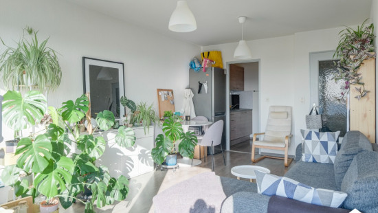 Herkenrodesingel - 23 - 41 - 3500