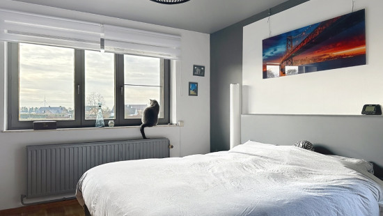 Rue du Moulin - 36 - - 4280