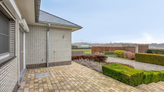 Hombekerkouter - 142 - - 2811