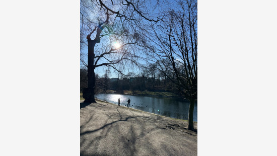 Quinten Matsijslei - 32 - - 2018