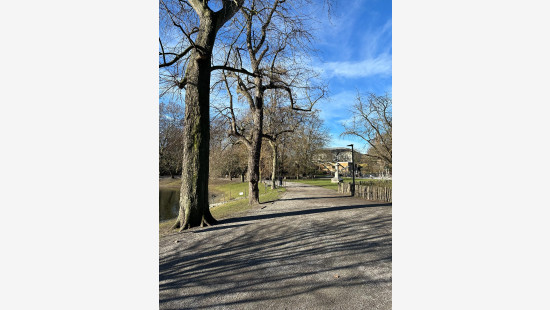 Quinten Matsijslei - 32 - - 2018