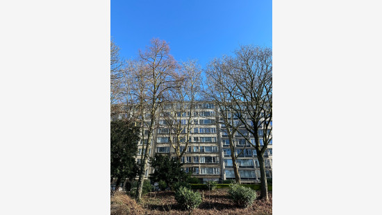 Quinten Matsijslei - 32 - - 2018