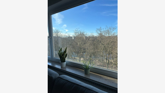 Quinten Matsijslei - 32 - - 2018