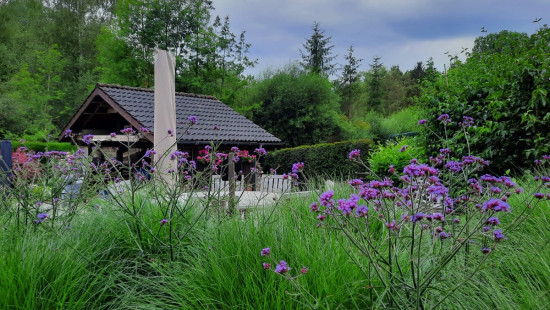 Kaalheide - 33 - - Huldenberg