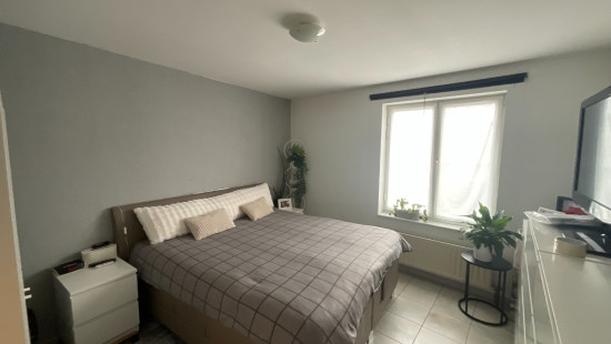 Ring - 61 - Bus 101 - 2200