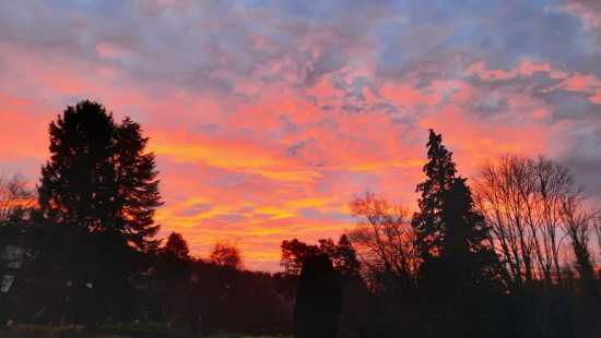 Kaalheide - 33 - - Huldenberg