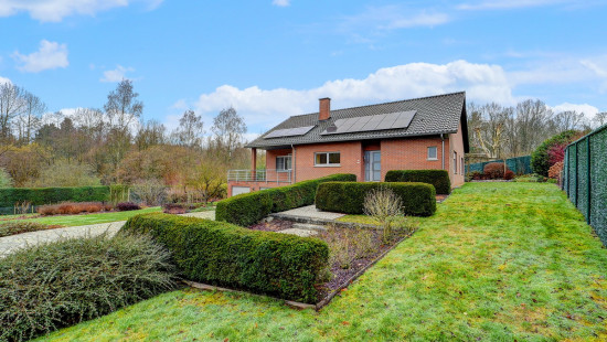 Kaalheide - 33 - - Huldenberg