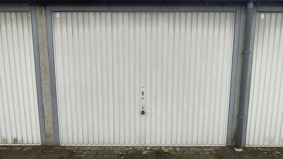 Ring - 61 - Bus 101 - 2200