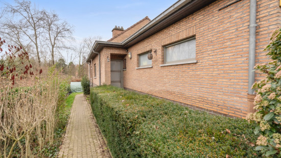 Molenstraat - 136 - - 1933