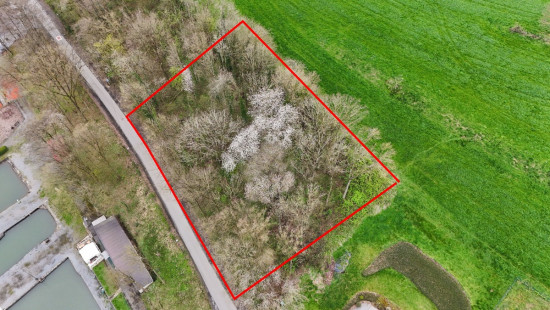 Rue du Néronry - 20 - D - 4140