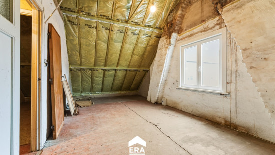 Katsweg - 30 - - 9990