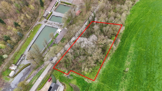 Rue du Néronry - 20 - D - 4140