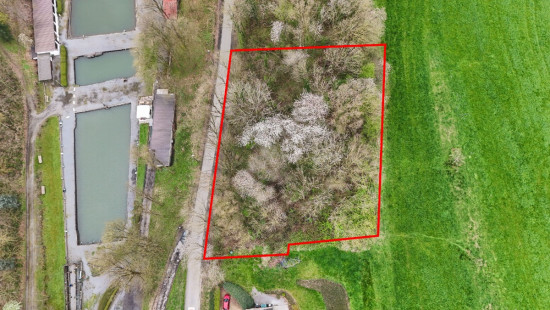 Rue du Néronry - 20 - D - 4140