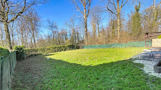 Tige des Saules - 36 - - 4550