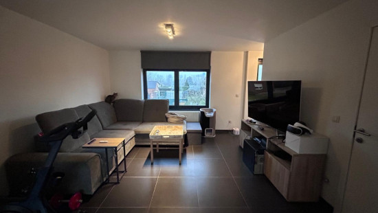 Steenweg - 169 - 1.1 - 3590