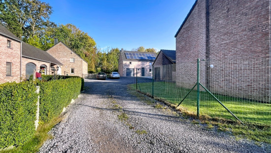 Tige des Saules - 36 - - 4550