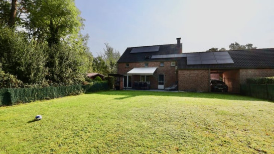 Tige des Saules - 36 - - 4550