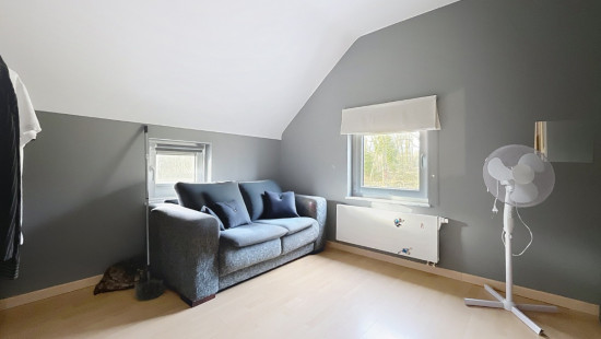 Tige des Saules - 36 - - 4550