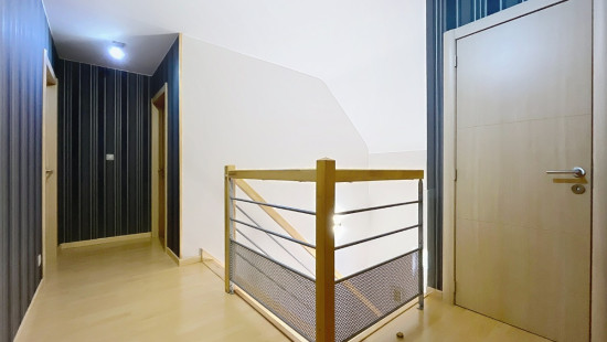 Tige des Saules - 36 - - 4550