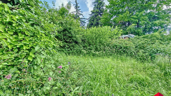 Grand Route - 2 - - 4540