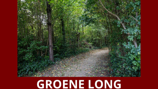 Steenovenstraat - 26 - 11 - 8520