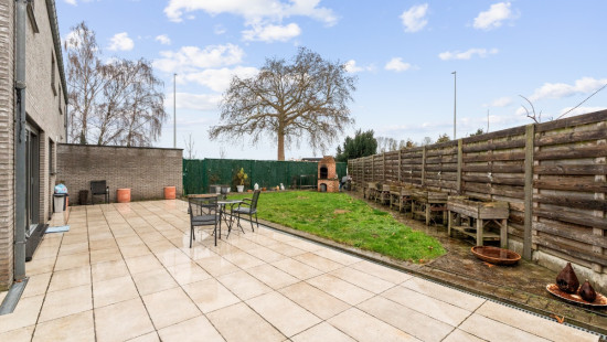 Guldendelle - 56 - - 1930