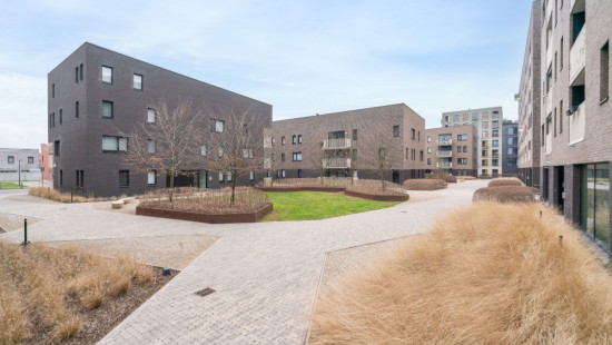 Blancefloerlaan - 315 - 202 - 2050