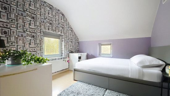 Tige des Saules - 36 - - 4550