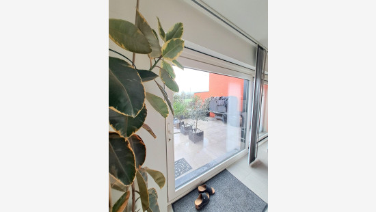 Frambozenstraat - 10 - - 8550