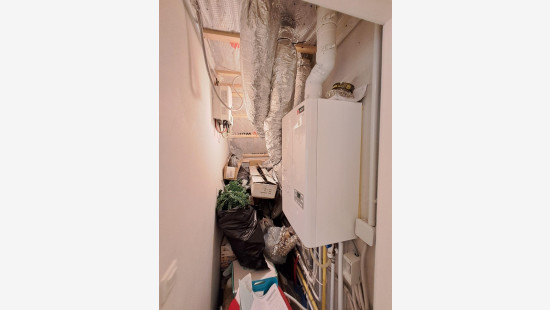 Frambozenstraat - 10 - - 8550