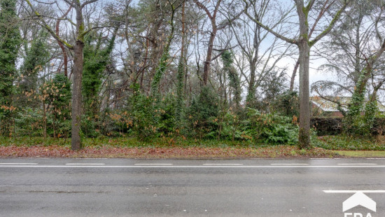 Luikersteenweg - zn - - 3920