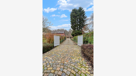 Kaalheide - 33 - - Huldenberg