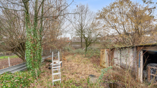 Lenterik - 37 - - 1800