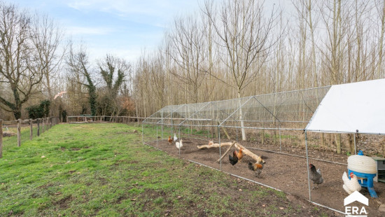 Dungelstraat - 57 - - 3440