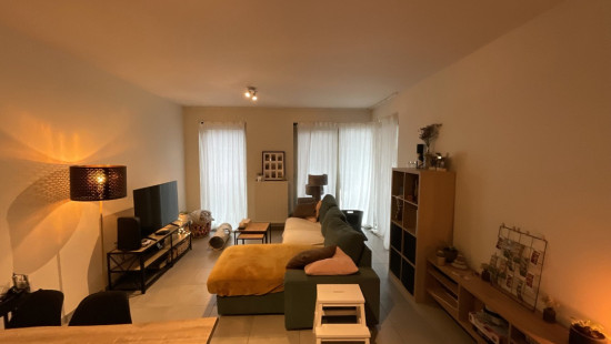 Boomlaarstraat - 228 - Bus 5 - 2500