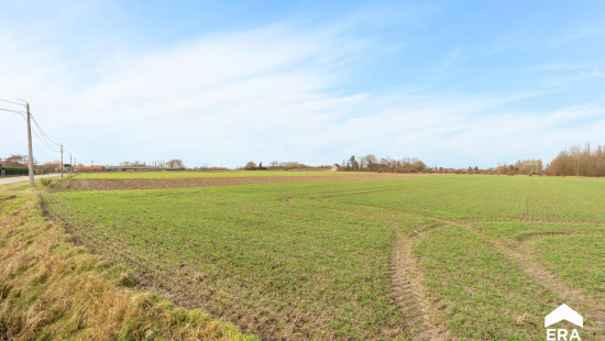 Pelsstraat - 97 - bus + - 3350