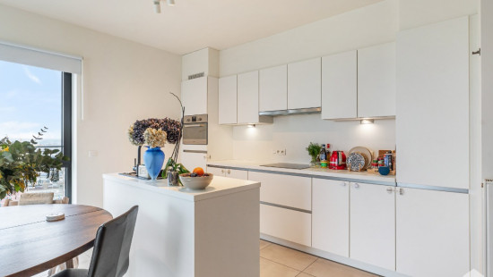 Elfde-Liniestraat - 13 - 13.1 - 3500