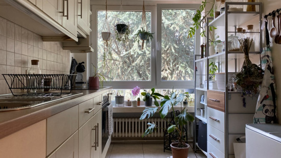 Olivetenvest - 41 - 202 - 2800